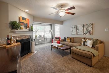 Wood-burning fireplace*